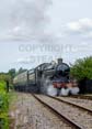 Photograph of PENDENNIS CASTLE - 4079 PENDENNIS CASTLE at Didcot on 28/08/22