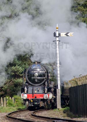 Purchase photo of 60163 TORNADO at Didcot