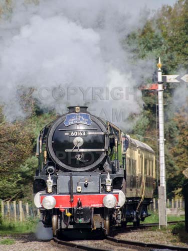 See large image