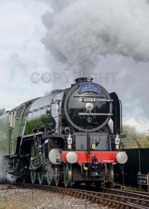 Purchase photo of 60163 TORNADO at Didcot