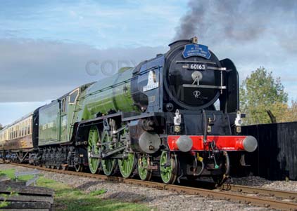 Purchase photo of 60163 TORNADO at Didcot