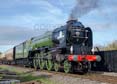 Photograph of TORNADO - 60163 TORNADO at Didcot on 28/10/17