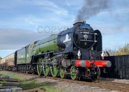Purchase photo of 60163 TORNADO at Didcot