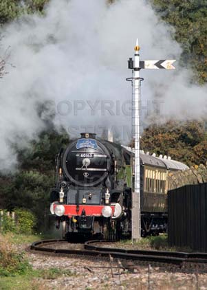 Purchase photo of 60163 TORNADO at Didcot