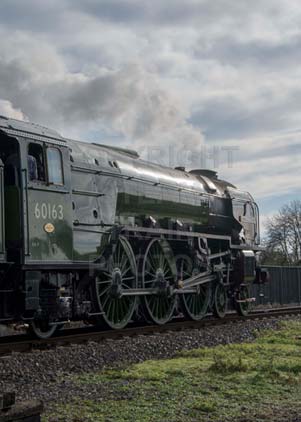 Purchase photo of 60163 TORNADO at Didcot