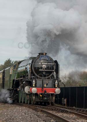 Purchase photo of 60163 TORNADO at Didcot