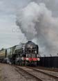 Photograph of TORNADO - 60163 TORNADO at Didcot on 28/10/17