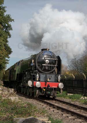 Purchase photo of 60163 TORNADO at Didcot