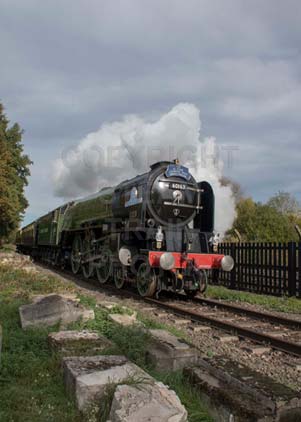 Purchase photo of 60163 TORNADO at Didcot