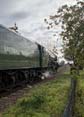 Photograph of Steam Images - Apple Green at Didcot on 28/10/17