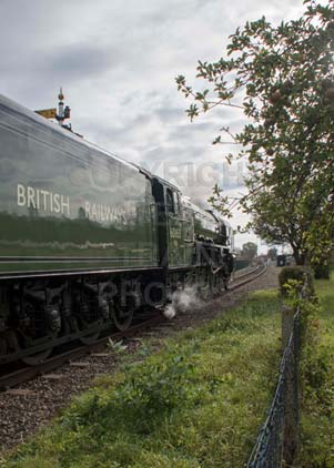 Purchase photo of Apple Green at Didcot