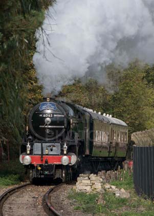 Purchase photo of 60163 TORNADO at Didcot