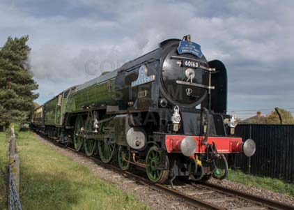 Purchase photo of 60163 TORNADO at Didcot