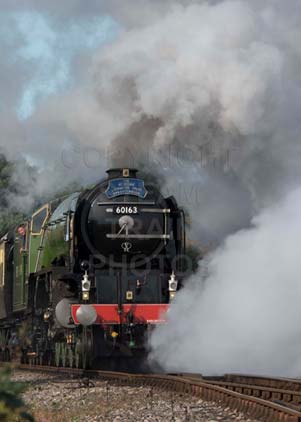 Purchase photo of 60163 TORNADO at Didcot