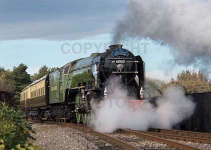 Purchase photo of 60163 TORNADO at Didcot