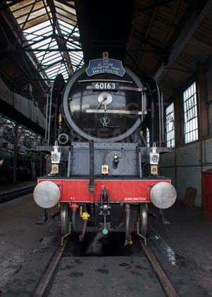 Purchase photo of 60163 TORNADO at Didcot