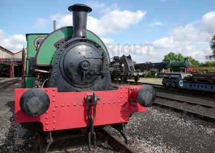 Purchase photo of 1 BONNIE PRINCE CHARLIE at Didcot