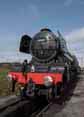 Photograph of FLYING SCOTSMAN - 60103 FLYING SCOTSMAN at Didcot on 29/08/17