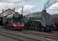Photograph of UNION OF SOUTH AFRICA - 60009 UNION OF SOUTH AFRICA &  60103 FLYING SCOTSMAN at Didcot on 29/08/17