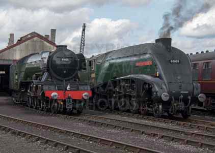 Purchase photo of 60009 UNION OF SOUTH AFRICA &  60103 FLYING SCOTSMAN at Didcot