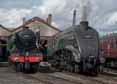 Photograph of UNION OF SOUTH AFRICA - 60103 FLYING SCOTSMAN &  60009 UNION OF SOUTH AFRICA at Didcot on 29/08/17