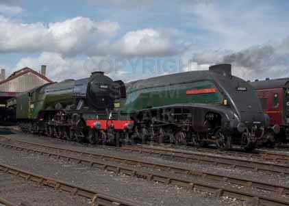Purchase photo of 60103 FLYING SCOTSMAN &  60009 UNION OF SOUTH AFRICA at Didcot