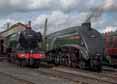 Photograph of UNION OF SOUTH AFRICA - 60103 FLYING SCOTSMAN &  60009 UNION OF SOUTH AFRICA at Didcot on 29/08/17
