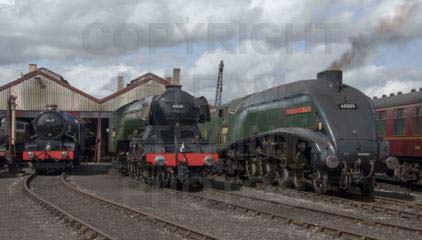 Purchase posters of 6023 KING EDWARD II,  60103 FLYING SCOTSMAN &amp;  60009 UNION OF SOUTH AFRICA