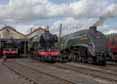 Photograph of KING EDWARD II - 6023 KING EDWARD II,  60103 FLYING SCOTSMAN &  60009 UNION OF SOUTH AFRICA at Didcot on 29/08/17