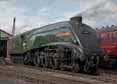 Photograph of UNION OF SOUTH AFRICA - 60009 UNION OF SOUTH AFRICA at Didcot on 29/08/17