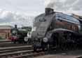 Photograph of UNION OF SOUTH AFRICA - 60009 UNION OF SOUTH AFRICA at Didcot on 29/08/17