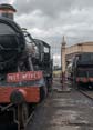 Photograph of Steam Images - On shed at Didcot on 29/08/18