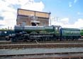 Photograph of PENDENNIS CASTLE - 4079 PENDENNIS CASTLE at Didcot on 29/07/23