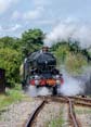 Photograph of PENDENNIS CASTLE - 4079 PENDENNIS CASTLE at Didcot on 29/07/23
