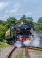 Photograph of PENDENNIS CASTLE - 4079 PENDENNIS CASTLE at Didcot on 29/07/23