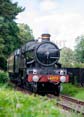Photograph of PENDENNIS CASTLE - 4079 PENDENNIS CASTLE at Didcot on 29/07/23