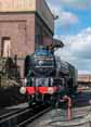 Photograph of TORNADO - 60163 TORNADO at Didcot on 29/03/16