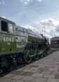 Photograph of TORNADO - 60163 TORNADO at Didcot on 29/03/16
