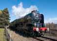 Photograph of TORNADO - 60163 TORNADO at Didcot on 29/03/16