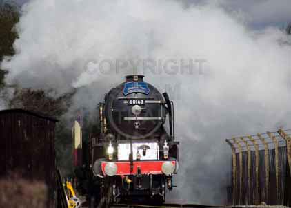 Purchase photo of 60163 TORNADO at Didcot
