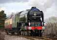 Photograph of TORNADO - 60163 TORNADO at Didcot on 29/03/16