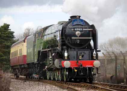 Purchase photo of 60163 TORNADO at Didcot