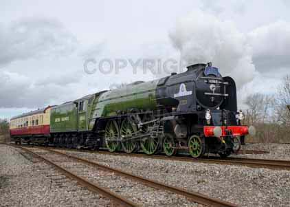 Purchase photo of 60163 TORNADO at Didcot