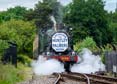 Photograph of 2-6-2T - 4144 2-6-2T at Didcot on 29/05/24
