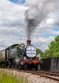 Photograph of 2-6-2T - 4144 2-6-2T at Didcot on 29/05/24