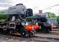 Photograph of Steam Images - Sleepin Giants at Didcot on 29/05/25