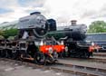 Photograph of Steam Images - Sleeping Giants at Didcot on 29/05/25