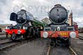 Poster ofDRYSLLWYN CASTLE - 60103 FLYING SCOTSMAN &  5051 DRYSLLWYN CASTLE at Didcot on 29/05/25