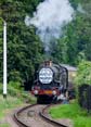 Photograph of PENDENNIS CASTLE - 4079 PENDENNIS CASTLE at Didcot on 29/05/25