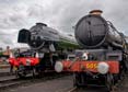 Photograph of DRYSLLWYN CASTLE - 60103 FLYING SCOTSMAN &  5051 DRYSLLWYN CASTLE at Didcot on 29/05/25